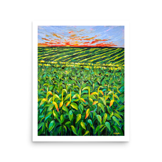 "Field of Dreams" Art Print