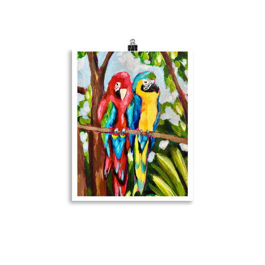 "Macaws" Art Print