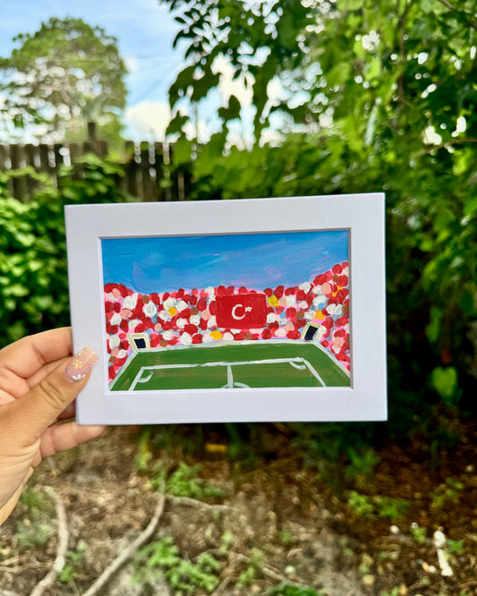 "Turkiye WC '26" Matted Frame