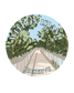 "Weedon Island Preserve" Sticker